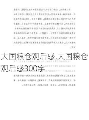 大国粮仓观后感,大国粮仓观后感300字-第2张图片-二喜范文网