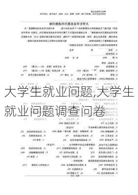 大学生就业问题,大学生就业问题调查问卷-第2张图片-二喜范文网