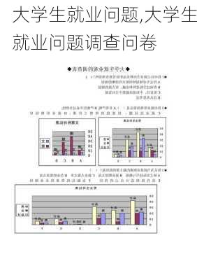 大学生就业问题,大学生就业问题调查问卷-第3张图片-二喜范文网