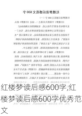 红楼梦读后感600字,红楼梦读后感600字优秀范文-第2张图片-二喜范文网