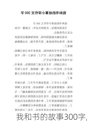 我和书的故事300字,