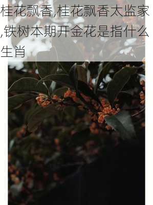 桂花飘香,桂花飘香太监家,铁树本期开金花是指什么生肖-第2张图片-二喜范文网