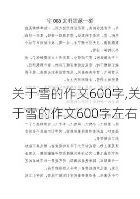 关于雪的作文600字,关于雪的作文600字左右-第1张图片-二喜范文网