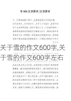 关于雪的作文600字,关于雪的作文600字左右-第2张图片-二喜范文网