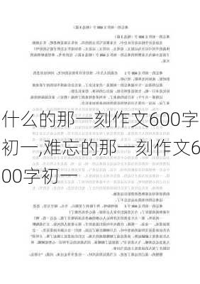 什么的那一刻作文600字初一,难忘的那一刻作文600字初一