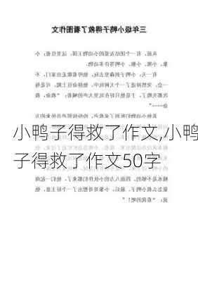 小鸭子得救了作文,小鸭子得救了作文50字-第2张图片-二喜范文网