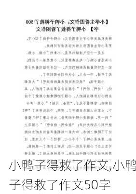 小鸭子得救了作文,小鸭子得救了作文50字-第3张图片-二喜范文网