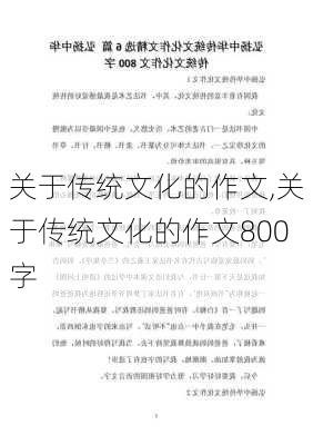 关于传统文化的作文,关于传统文化的作文800字-第3张图片-二喜范文网