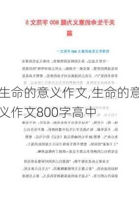 生命的意义作文,生命的意义作文800字高中-第3张图片-二喜范文网