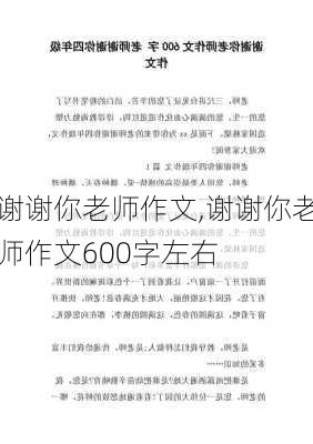 谢谢你老师作文,谢谢你老师作文600字左右-第3张图片-二喜范文网