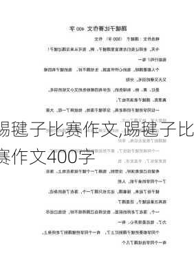 踢毽子比赛作文,踢毽子比赛作文400字-第1张图片-二喜范文网