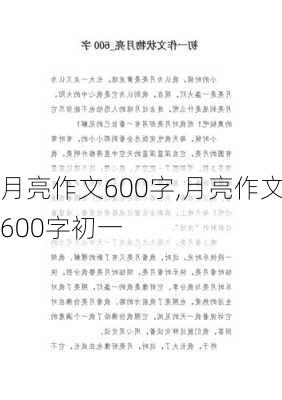 月亮作文600字,月亮作文600字初一-第1张图片-二喜范文网