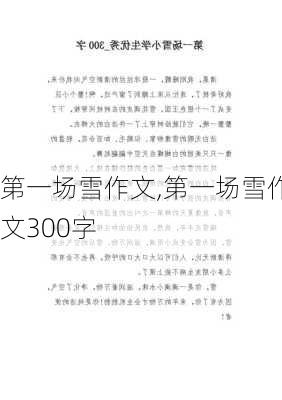 第一场雪作文,第一场雪作文300字-第3张图片-二喜范文网