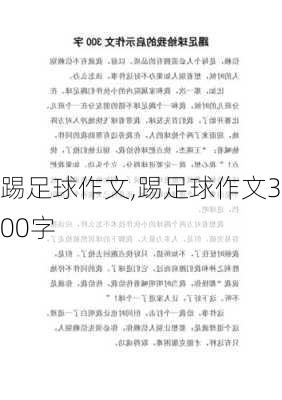 踢足球作文,踢足球作文300字