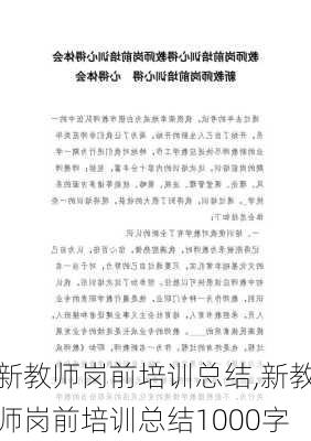 新教师岗前培训总结,新教师岗前培训总结1000字-第1张图片-二喜范文网