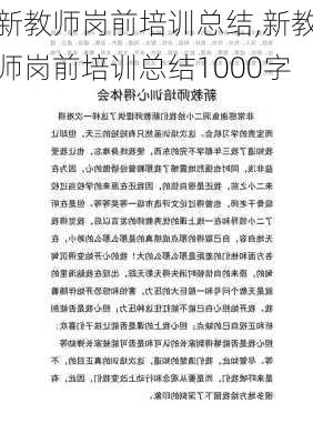 新教师岗前培训总结,新教师岗前培训总结1000字-第2张图片-二喜范文网