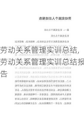 劳动关系管理实训总结,劳动关系管理实训总结报告-第3张图片-二喜范文网