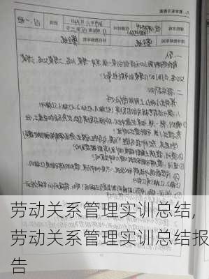 劳动关系管理实训总结,劳动关系管理实训总结报告-第2张图片-二喜范文网