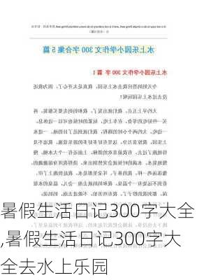 暑假生活日记300字大全,暑假生活日记300字大全去水上乐园-第3张图片-二喜范文网