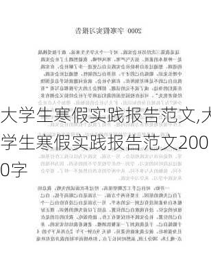 大学生寒假实践报告范文,大学生寒假实践报告范文2000字-第2张图片-二喜范文网