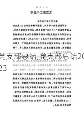 党支部总结,党支部总结2023-第1张图片-二喜范文网