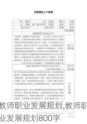 教师职业发展规划,教师职业发展规划800字-第2张图片-二喜范文网