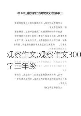 观察作文,观察作文300字三年级-第2张图片-二喜范文网