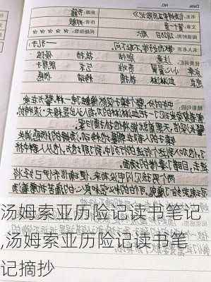 汤姆索亚历险记读书笔记,汤姆索亚历险记读书笔记摘抄-第1张图片-二喜范文网