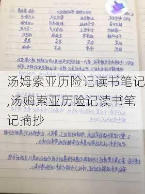 汤姆索亚历险记读书笔记,汤姆索亚历险记读书笔记摘抄-第3张图片-二喜范文网