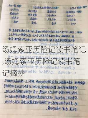 汤姆索亚历险记读书笔记,汤姆索亚历险记读书笔记摘抄-第2张图片-二喜范文网