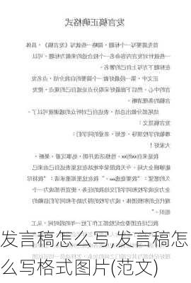 发言稿怎么写,发言稿怎么写格式图片(范文)-第1张图片-二喜范文网