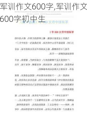 军训作文600字,军训作文600字初中生-第3张图片-二喜范文网