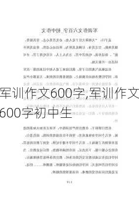 军训作文600字,军训作文600字初中生-第1张图片-二喜范文网