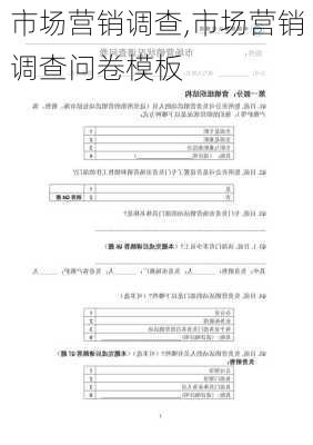 市场营销调查,市场营销调查问卷模板-第3张图片-二喜范文网