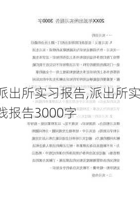 派出所实习报告,派出所实践报告3000字-第1张图片-二喜范文网