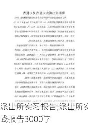 派出所实习报告,派出所实践报告3000字-第2张图片-二喜范文网