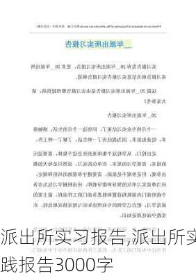 派出所实习报告,派出所实践报告3000字-第3张图片-二喜范文网