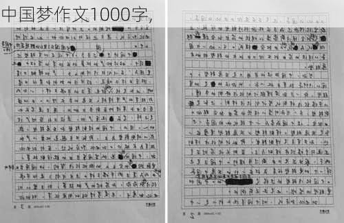 中国梦作文1000字,-第1张图片-二喜范文网