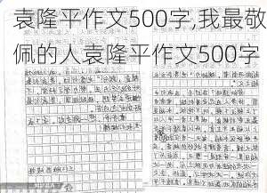 袁隆平作文500字,我最敬佩的人袁隆平作文500字-第2张图片-二喜范文网