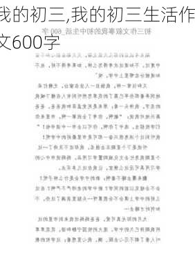 我的初三,我的初三生活作文600字-第2张图片-二喜范文网