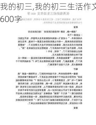 我的初三,我的初三生活作文600字-第3张图片-二喜范文网