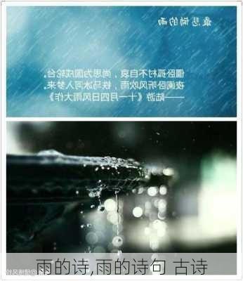 雨的诗,雨的诗句 古诗