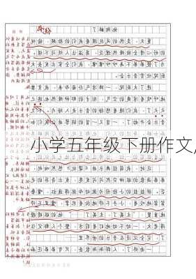 小学五年级下册作文,-第3张图片-二喜范文网