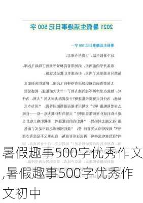 暑假趣事500字优秀作文,暑假趣事500字优秀作文初中-第3张图片-二喜范文网