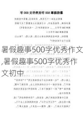 暑假趣事500字优秀作文,暑假趣事500字优秀作文初中-第1张图片-二喜范文网