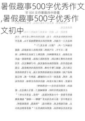 暑假趣事500字优秀作文,暑假趣事500字优秀作文初中-第2张图片-二喜范文网