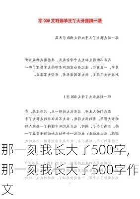 那一刻我长大了500字,那一刻我长大了500字作文-第3张图片-二喜范文网