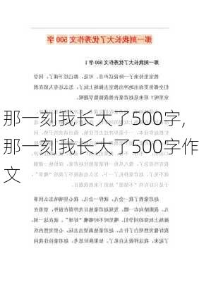 那一刻我长大了500字,那一刻我长大了500字作文-第2张图片-二喜范文网