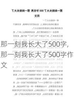 那一刻我长大了500字,那一刻我长大了500字作文-第1张图片-二喜范文网