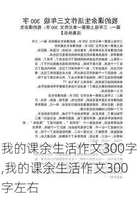 我的课余生活作文300字,我的课余生活作文300字左右-第3张图片-二喜范文网